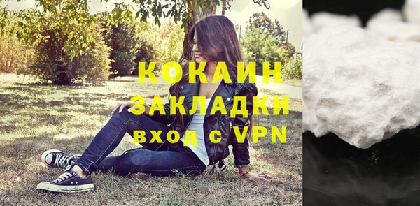 шишки Верхний Тагил