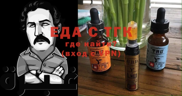 шишки Верхний Тагил
