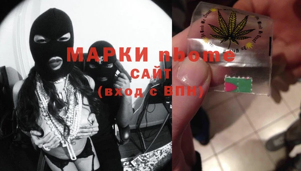 шишки Верхний Тагил