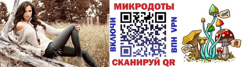 Галлюциногенные грибы мухоморы  Камешково 